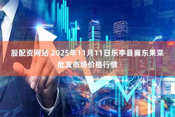 股配資網(wǎng)站 2025年11月11日樂(lè)亭縣冀東果菜批發(fā)市場(chǎng)價(jià)格行情